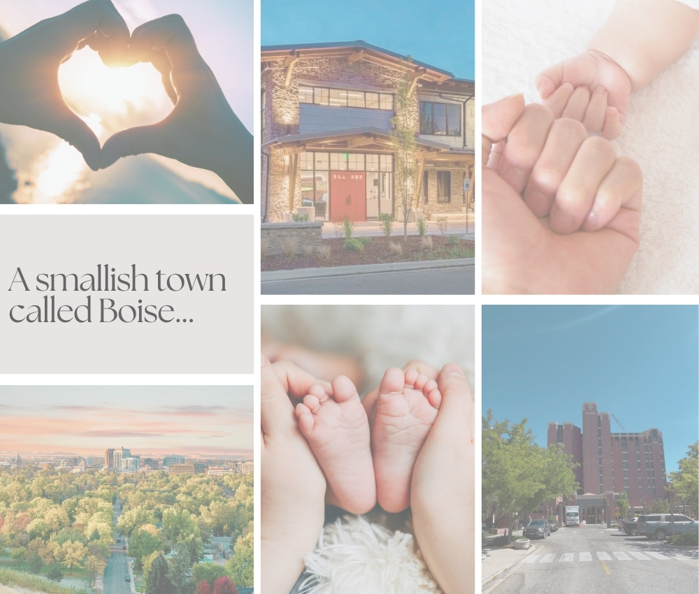 Photos collage of Boise.